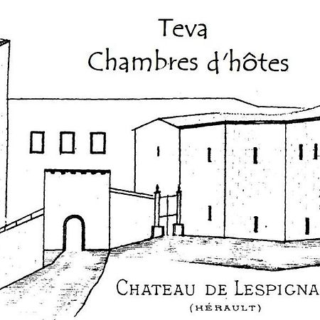 Teva Bed and Breakfast Lespignan Εξωτερικό φωτογραφία